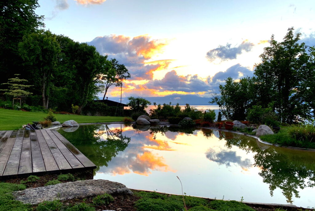 Sunset Reflections on the Koi Pond - Domaine Les Cedres du Leman