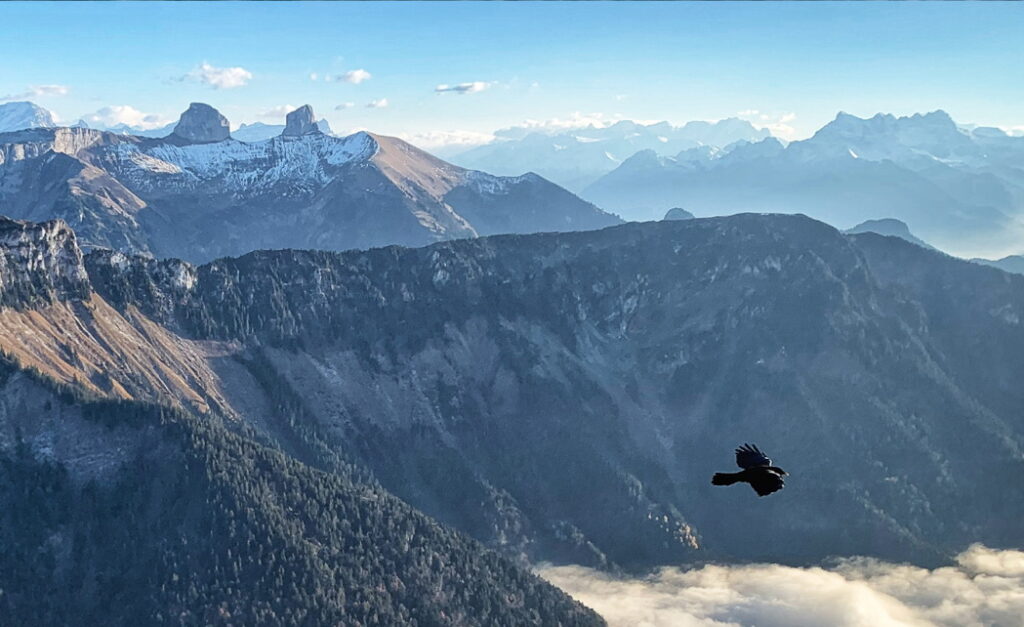 Rochers de Naye - Copyright Sophie PLICHON