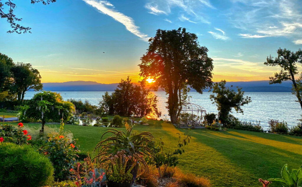 Evening Light on the Garden and Lake Geneva - Domaine Les Cedres du Leman